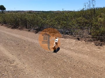 id9bc16a01-0000-0500-0000-00001142c78d