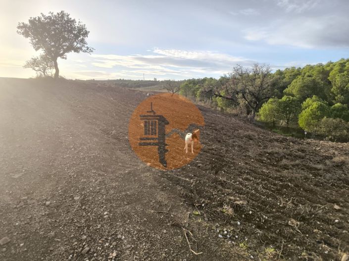 Image No.12-Terrain à vendre à Castro Marim