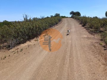 id9bc16a01-0000-0500-0000-00001142c791