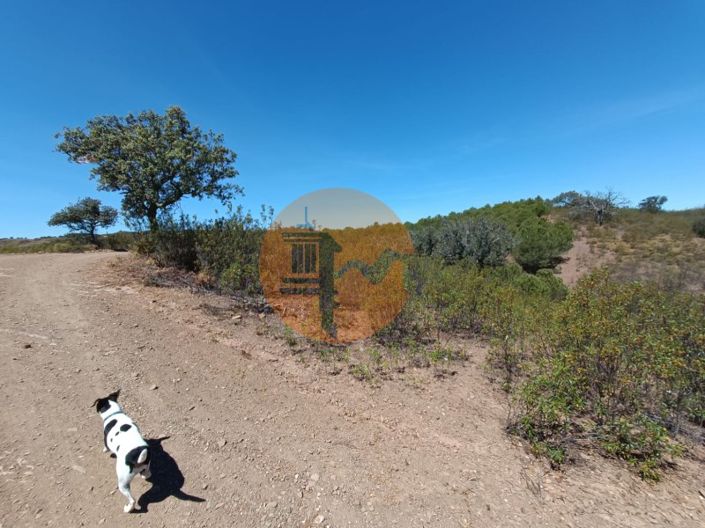 Image No.21-Plot for sale