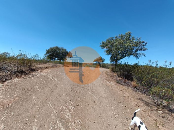 Image No.26-Plot for sale