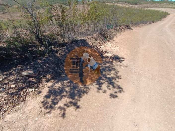 Image No.28-Plot for sale