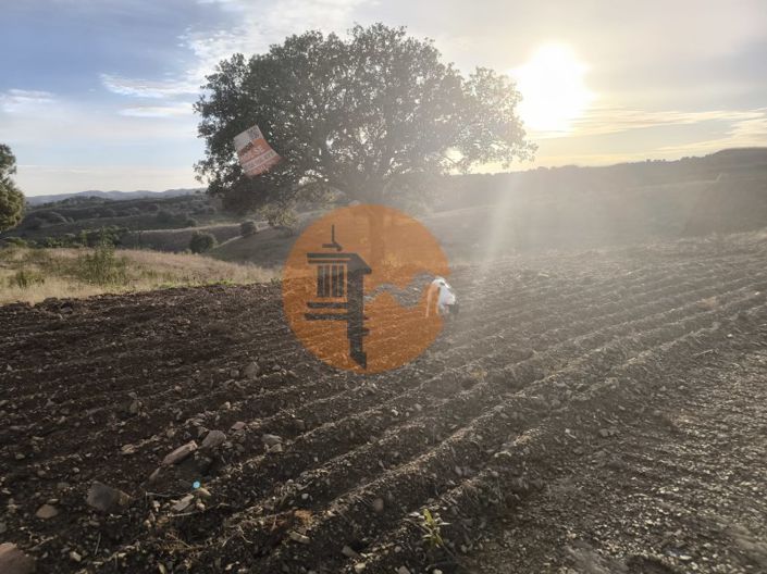 Image No.3-Plot for sale