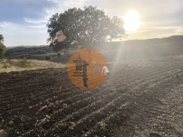 id9bc16a01-0000-0500-0000-000017f28103