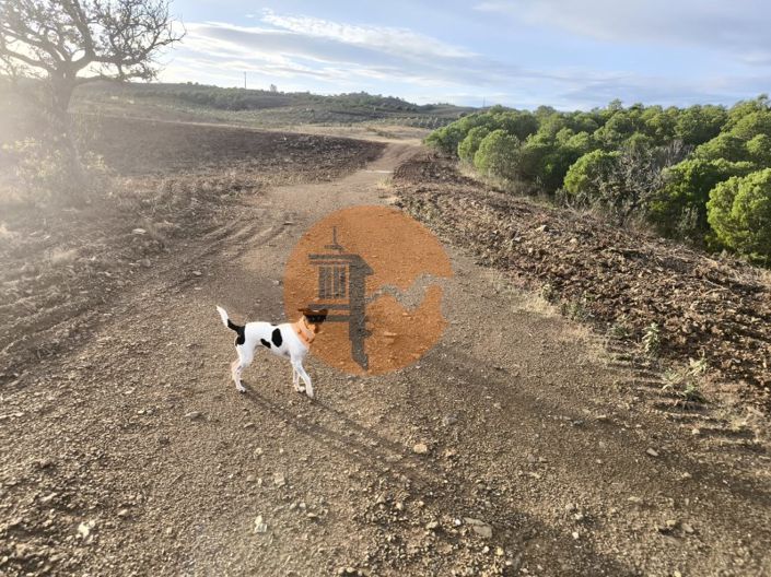 Image No.31-Plot for sale