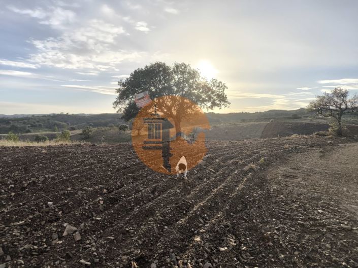 Image No.35-Plot for sale