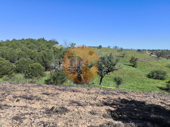 Image No.33-Terrain à vendre à Castro Marim