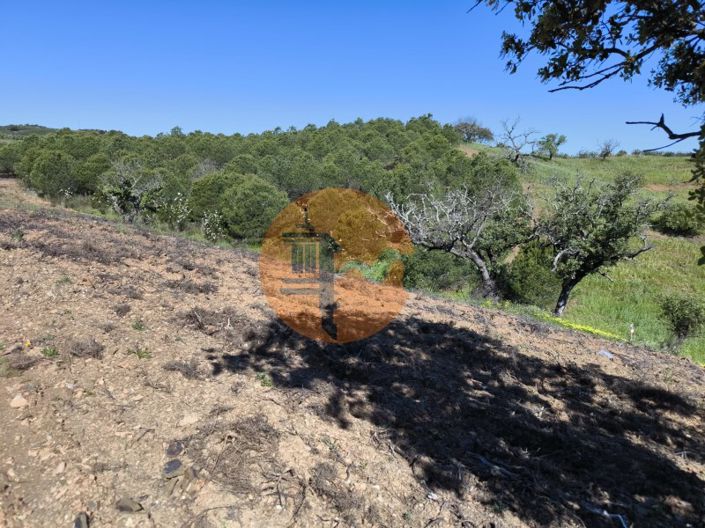 Image No.38-Terrain à vendre à Castro Marim