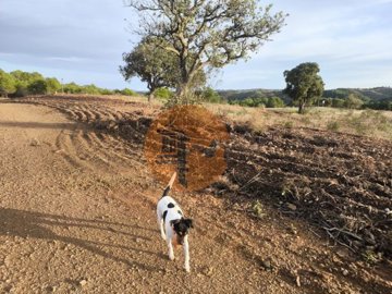 id9bc16a01-0000-0500-0000-000017f28104