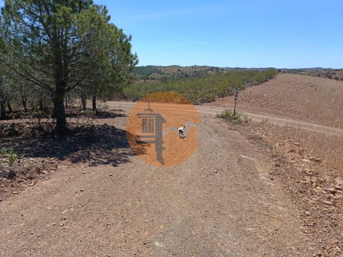 Image No.6-Plot for sale