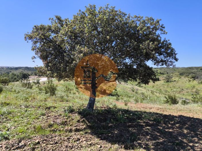 Image No.5-Terrain à vendre à Castro Marim