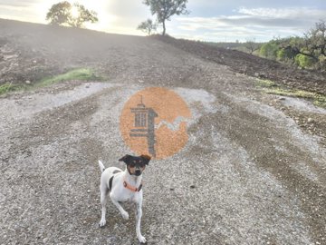 id9bc16a01-0000-0500-0000-000017f28105