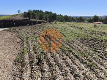 id9bc16a01-0000-0500-0000-000018f6d342