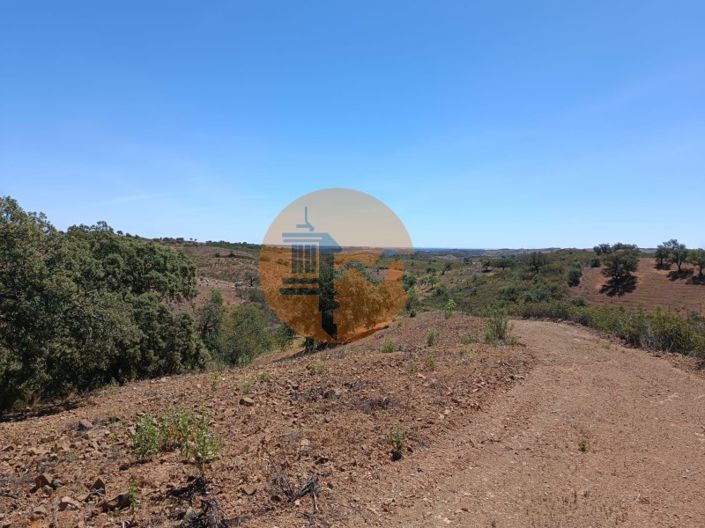 Image No.24-Plot for sale