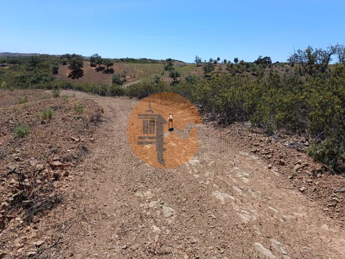 Image No.26-Plot for sale