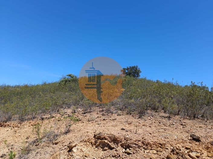 Image No.12-Plot for sale