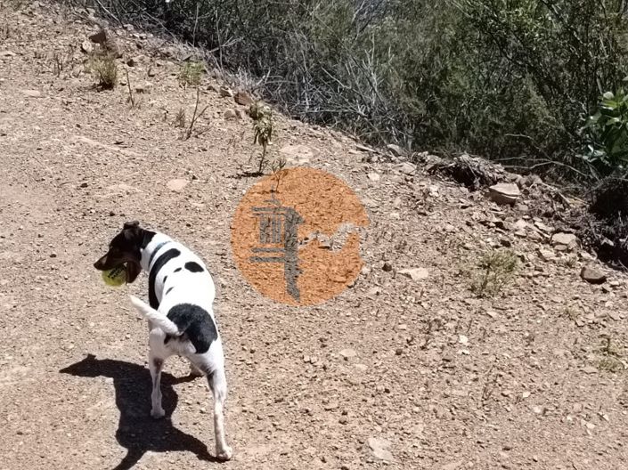 Image No.24-Plot for sale