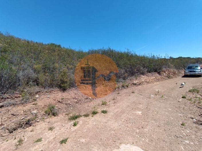 Image No.32-Plot for sale