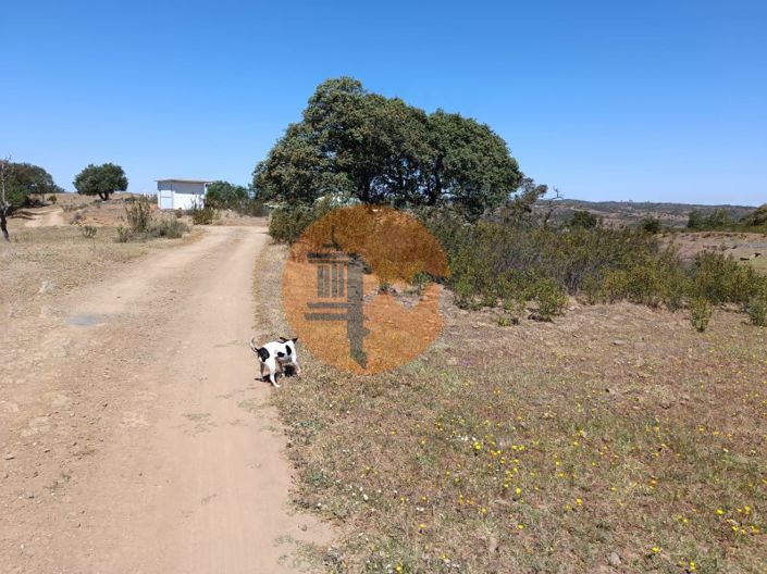 Image No.13-Plot for sale