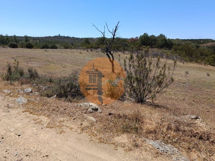 Image No.16-Plot for sale