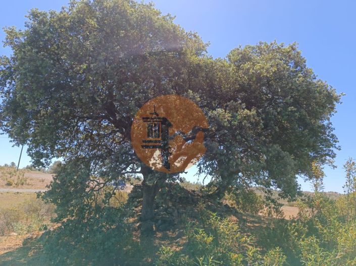 Image No.17-Plot for sale