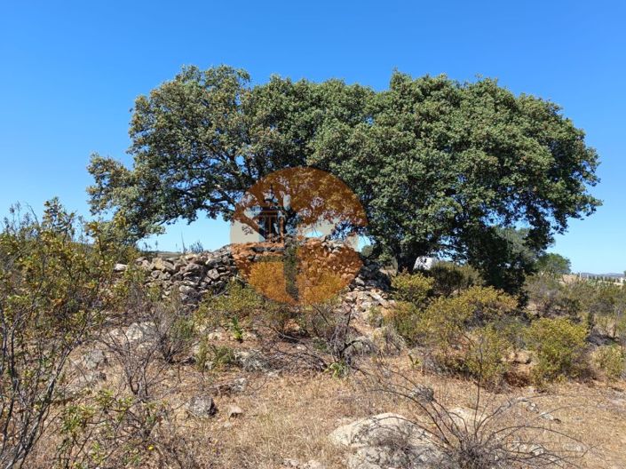 Image No.18-Plot for sale