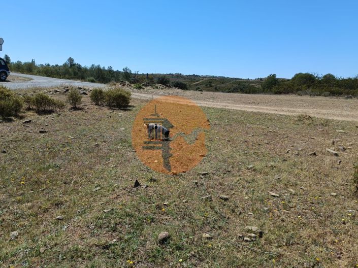 Image No.22-Plot for sale