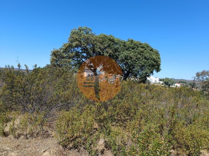 Image No.24-Plot for sale