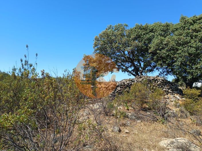 Image No.25-Plot for sale