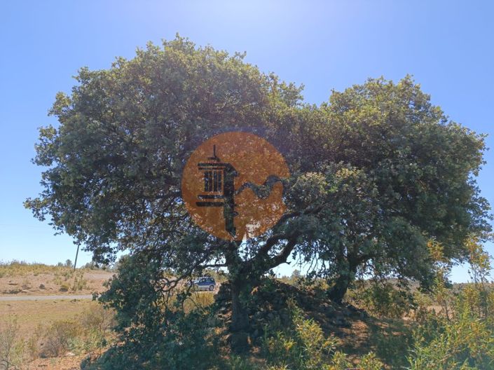 Image No.3-Plot for sale