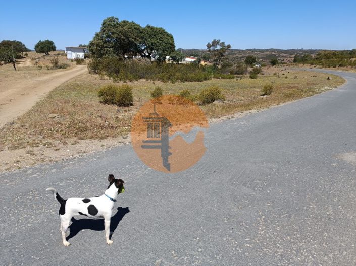 Image No.4-Plot for sale