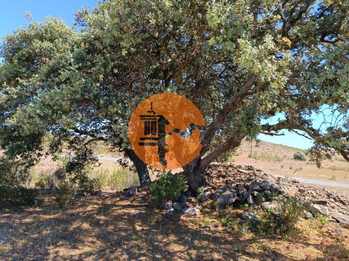 Image No.9-Plot for sale