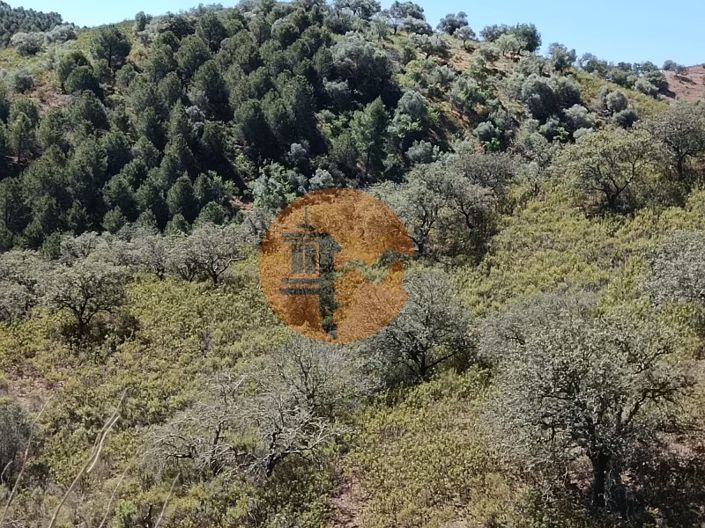 Image No.11-Plot for sale