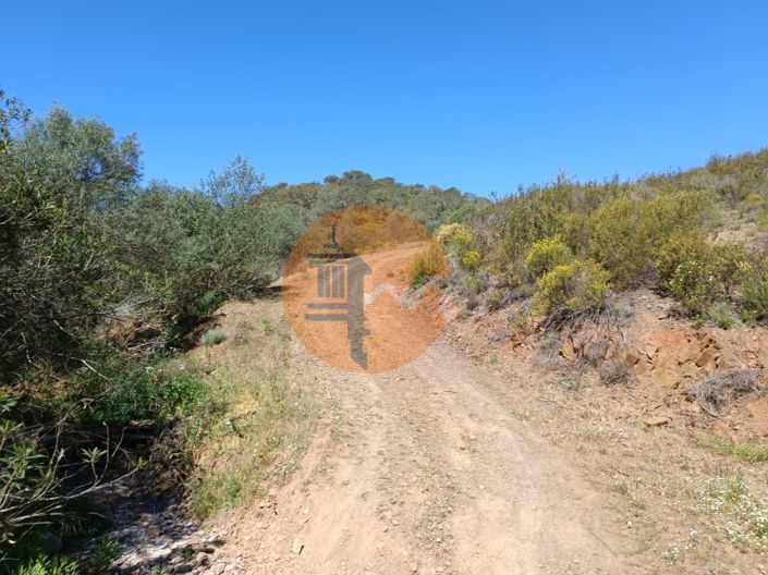 Image No.26-Plot for sale