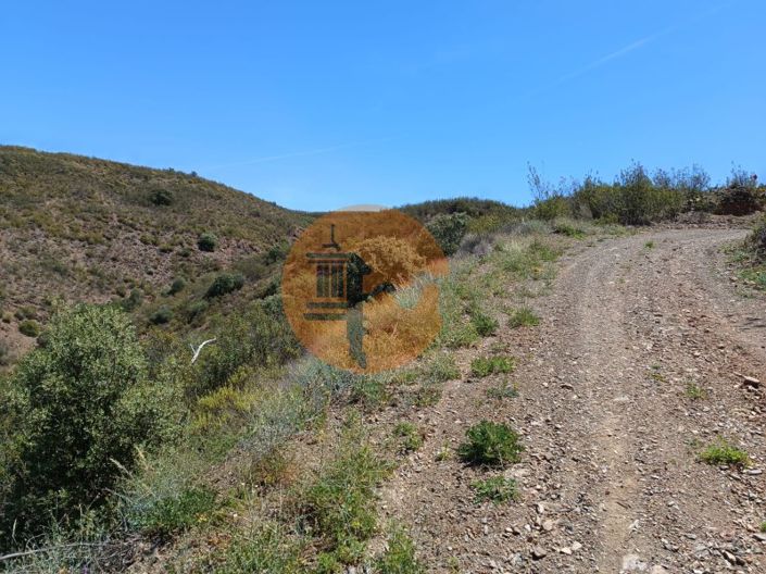 Image No.10-Plot for sale