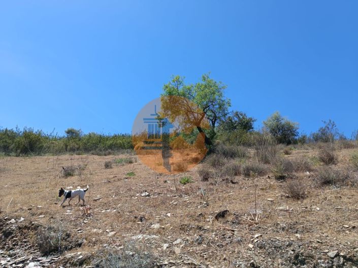 Image No.20-Plot for sale