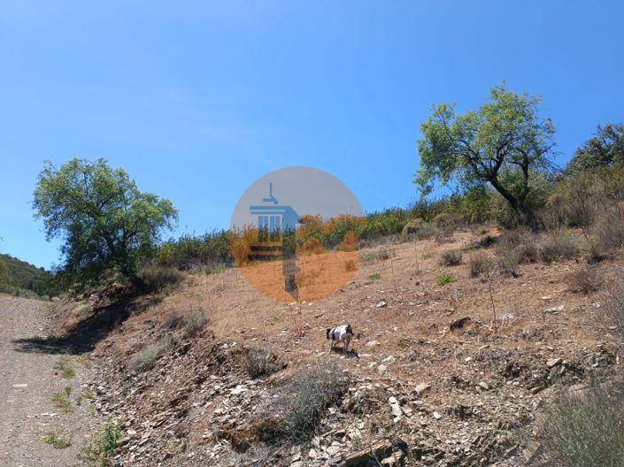 Image No.22-Plot for sale