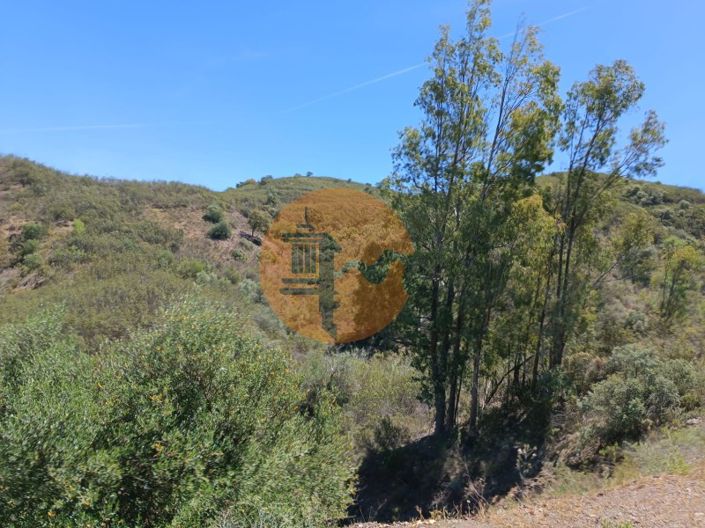 Image No.29-Plot for sale