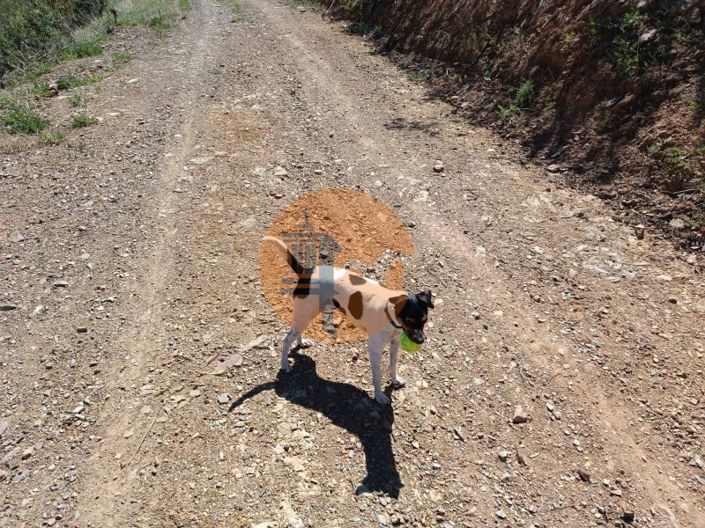 Image No.5-Plot for sale