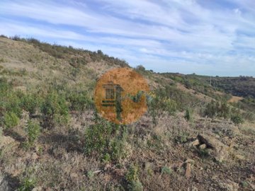 id42cc6a01-0000-0500-0000-00001143b854