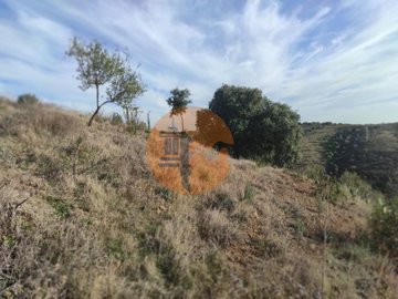 id42cc6a01-0000-0500-0000-00001143b85a