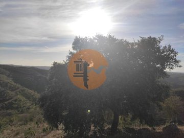 id42cc6a01-0000-0500-0000-00001143b865