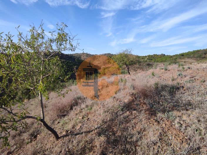 Image No.16-Plot for sale