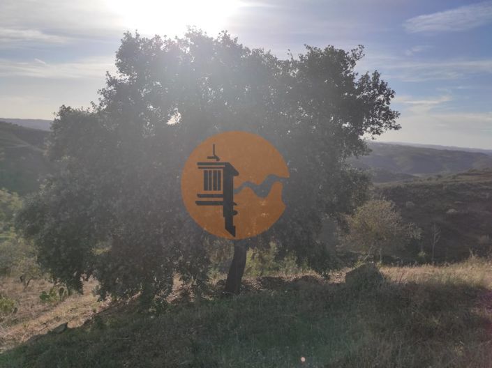 Image No.22-Plot for sale