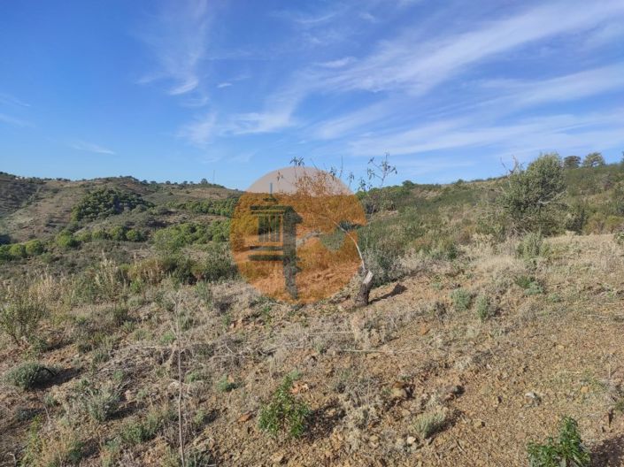 Image No.26-Plot for sale