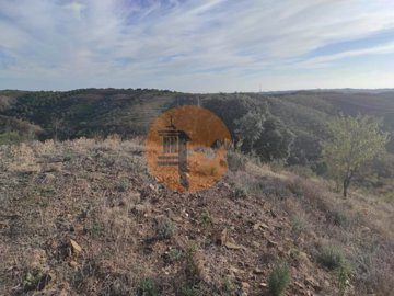 id42cc6a01-0000-0500-0000-00001143b84e