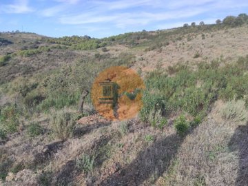 id42cc6a01-0000-0500-0000-00001143b852