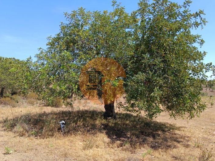 Image No.1-Plot for sale