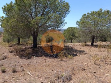 id5b386b01-0000-0500-0000-0000114d89ee