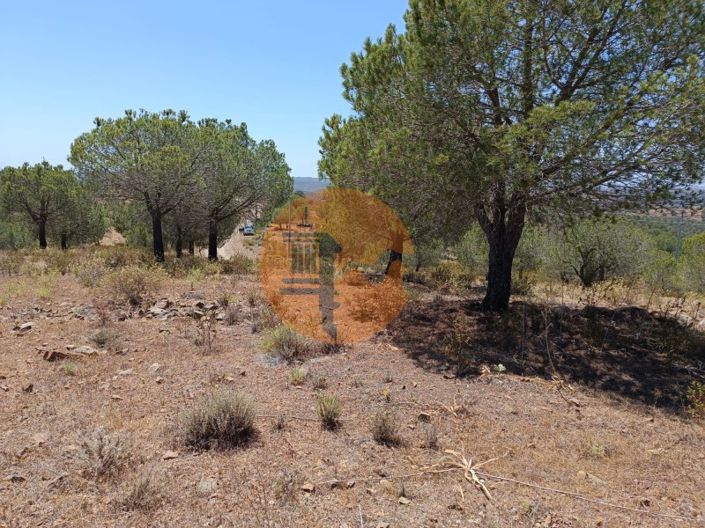 Image No.11-Plot for sale